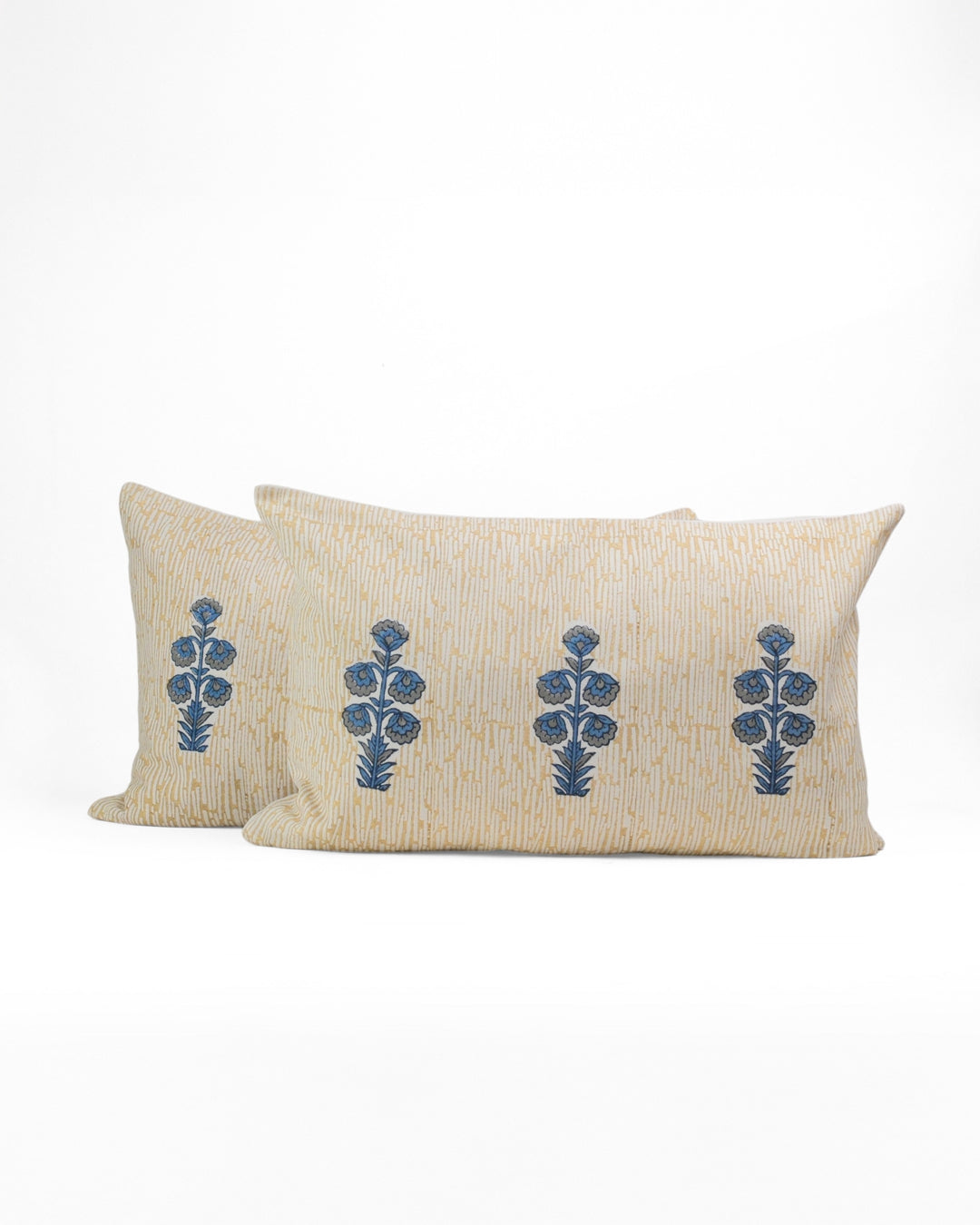 Set of 2 - Nature's Canvas Beige Shams Covers