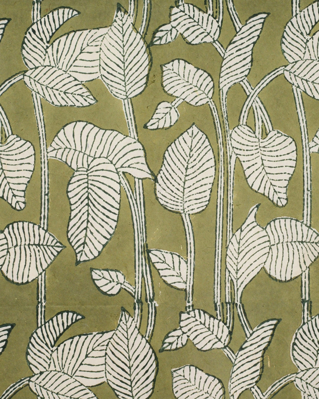 Set of 4 - The Unboxed Green Gift Wrapping Papers