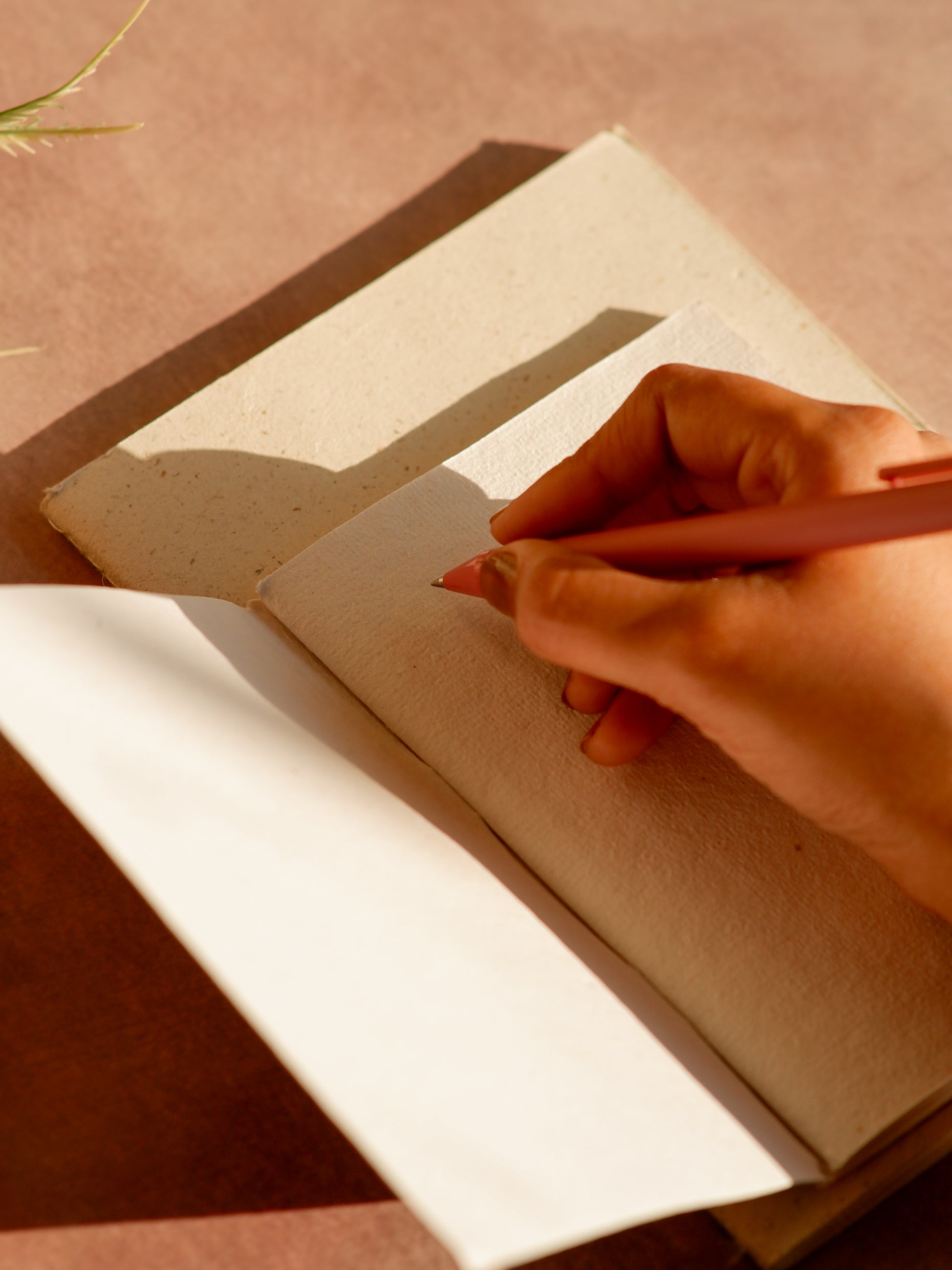 Candy Stripe - Daily Notes (Set of 2)